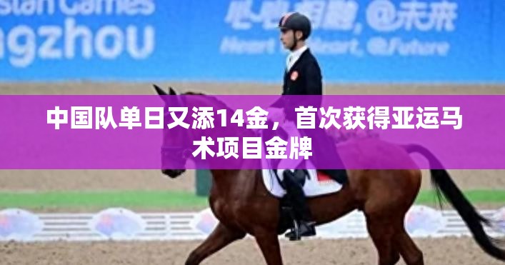 中国队单日又添14金，首次获得亚运马术项目金牌