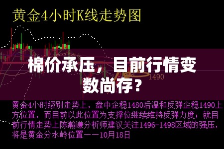 棉价承压，目前行情变数尚存？