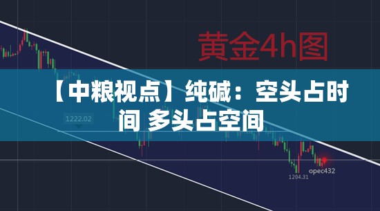 【中粮视点】纯碱：空头占时间 多头占空间