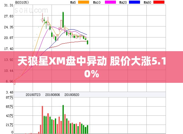 天狼星XM盘中异动 股价大涨5.10%