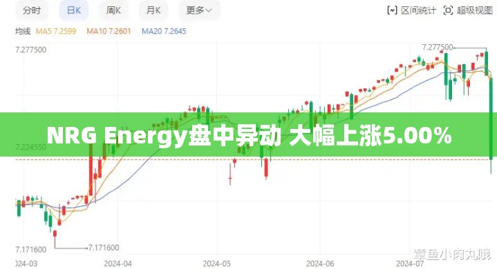 NRG Energy盘中异动 大幅上涨5.00%