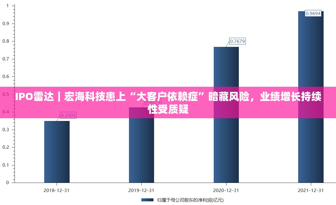 IPO雷达｜宏海科技患上“大客户依赖症”暗藏风险，业绩增长持续性受质疑