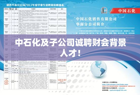 中石化及子公司诚聘财会背景人才！