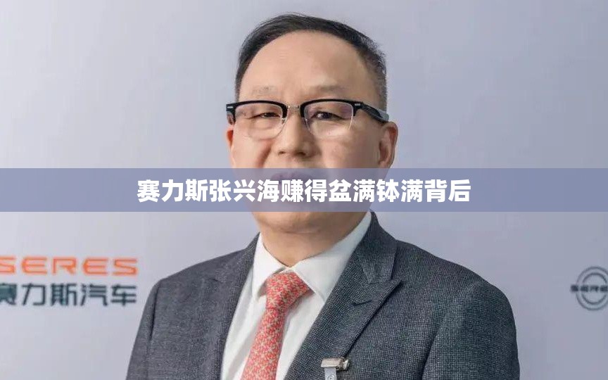 赛力斯张兴海赚得盆满钵满背后