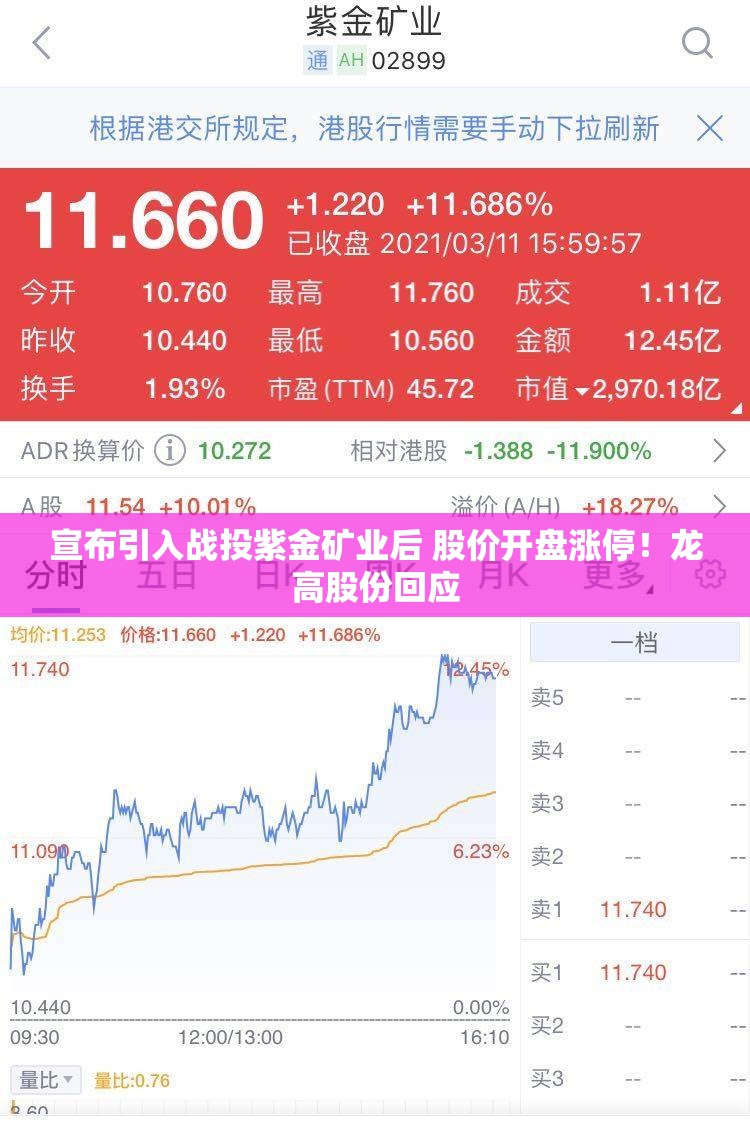 宣布引入战投紫金矿业后 股价开盘涨停！龙高股份回应