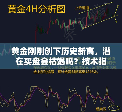 公高澹 第3页
