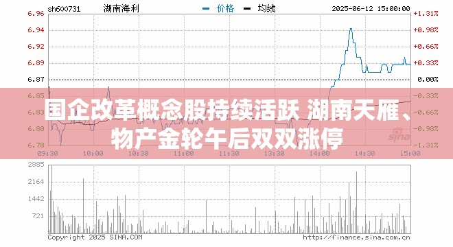 国企改革概念股持续活跃 湖南天雁、物产金轮午后双双涨停