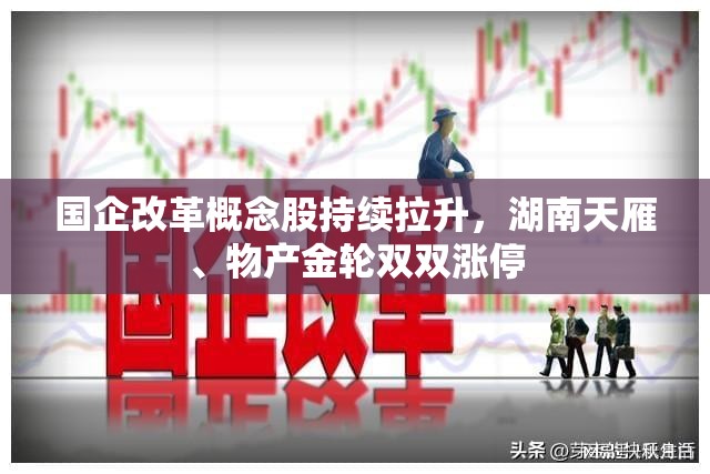 国企改革概念股持续拉升，湖南天雁、物产金轮双双涨停
