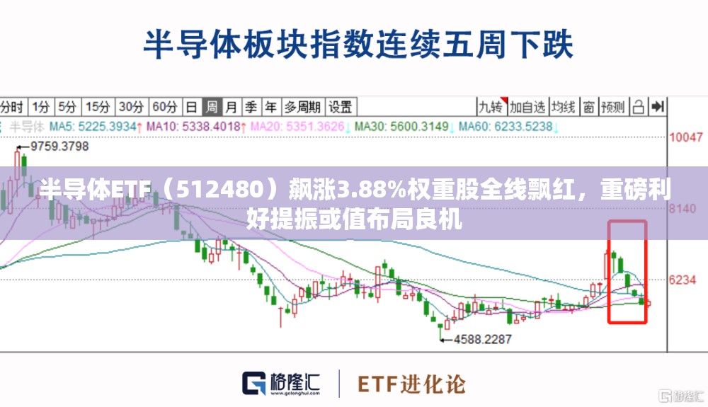 毛明亮 第5页