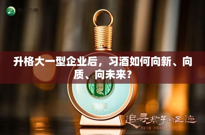 升格大一型企业后，习酒如何向新、向质、向未来？