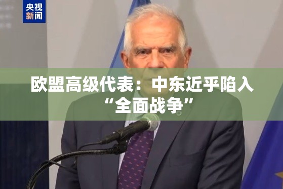 欧盟高级代表：中东近乎陷入“全面战争”