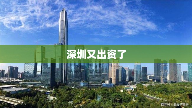 深圳又出资了
