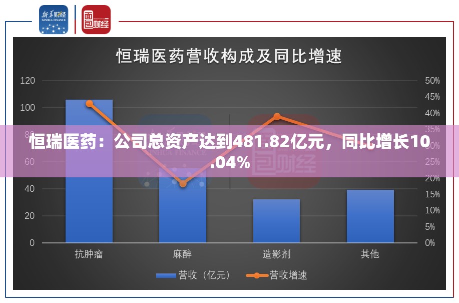 恒瑞医药：公司总资产达到481.82亿元，同比增长10.04%