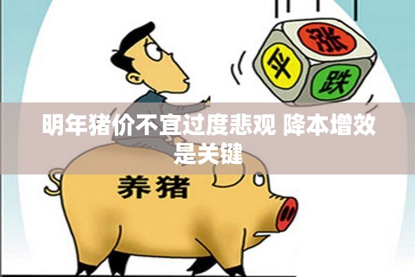 明年猪价不宜过度悲观 降本增效是关键
