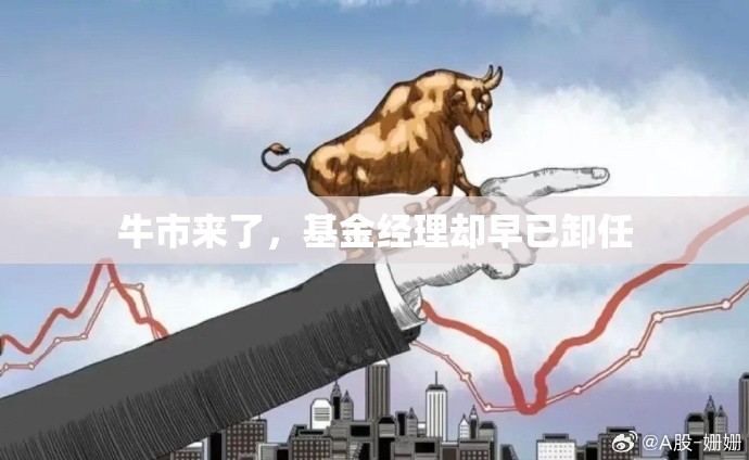 资讯 第22页