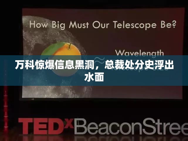 万科惊爆信息黑洞，总裁处分史浮出水面