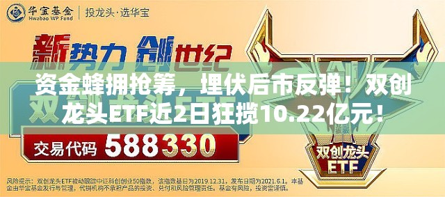 资金蜂拥抢筹，埋伏后市反弹！双创龙头ETF近2日狂揽10.22亿元！