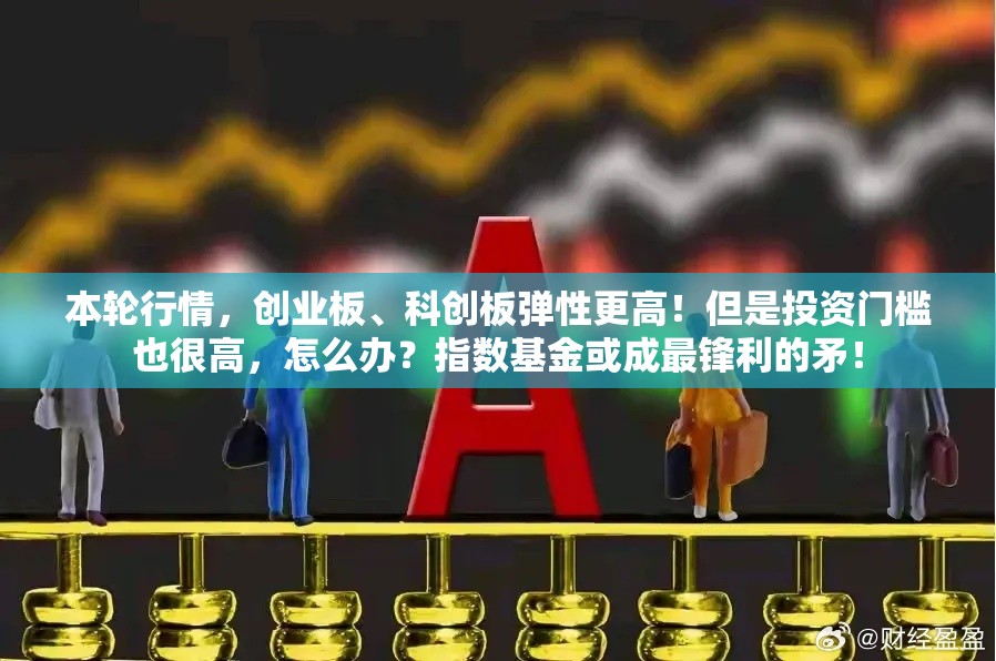 本轮行情，创业板、科创板弹性更高！但是投资门槛也很高，怎么办？指数基金或成最锋利的矛！