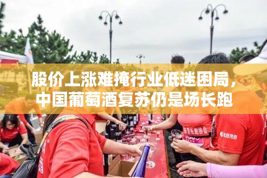股价上涨难掩行业低迷困局，中国葡萄酒复苏仍是场长跑