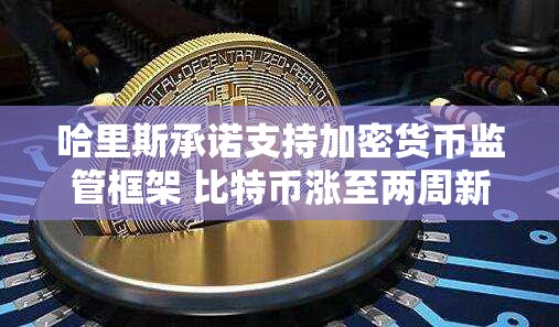 哈里斯承诺支持加密货币监管框架 比特币涨至两周新高