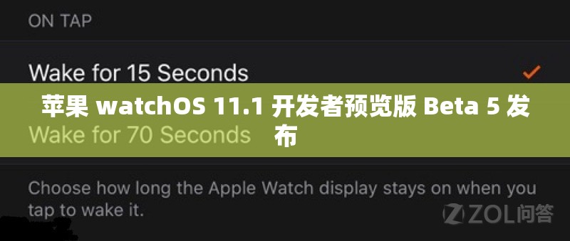 苹果 watchOS 11.1 开发者预览版 Beta 5 发布