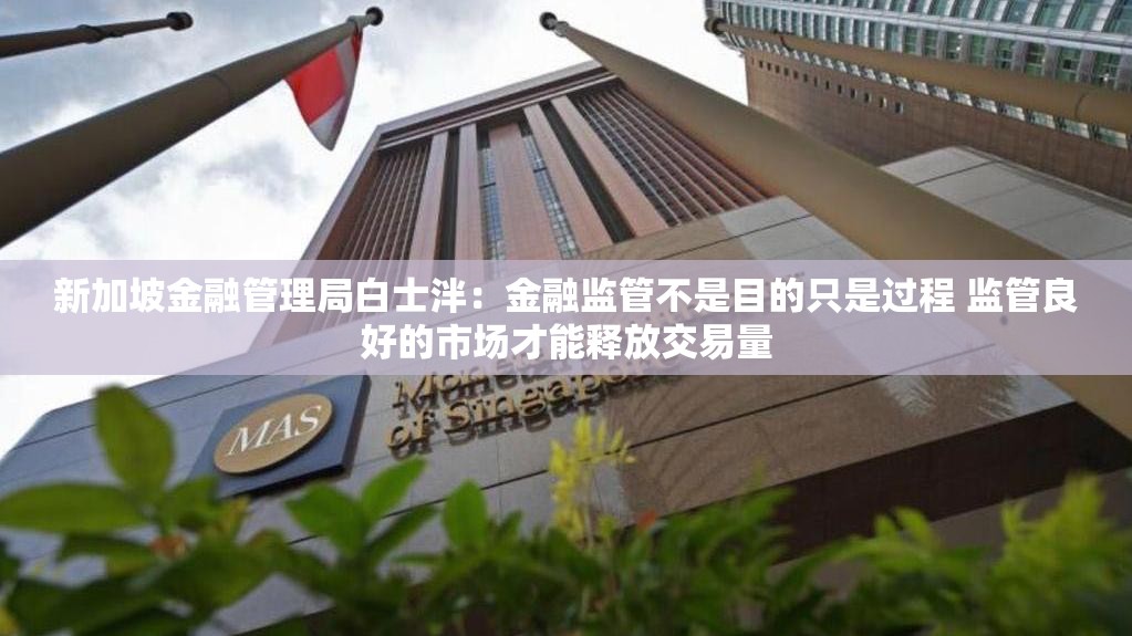 新加坡金融管理局白士泮：金融监管不是目的只是过程 监管良好的市场才能释放交易量