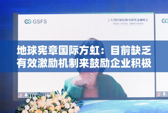 地球宪章国际方虹：目前缺乏有效激励机制来鼓励企业积极参与ESG实践