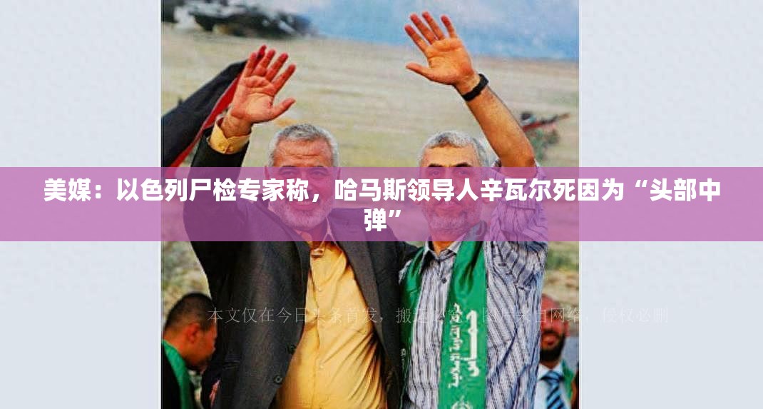 美媒：以色列尸检专家称，哈马斯领导人辛瓦尔死因为“头部中弹”