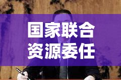 国家联合资源委任田欣为执行董事