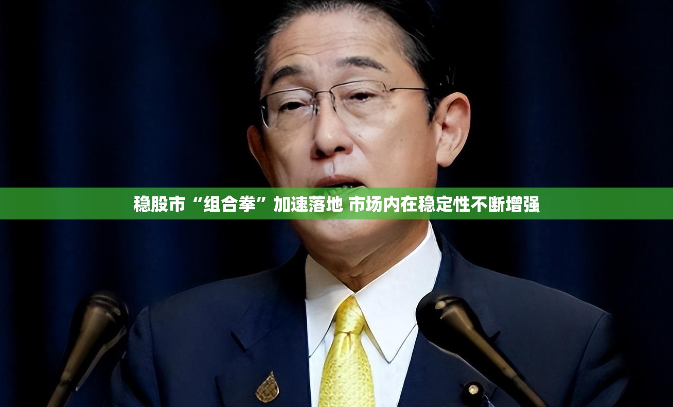 稳股市“组合拳”加速落地 市场内在稳定性不断增强