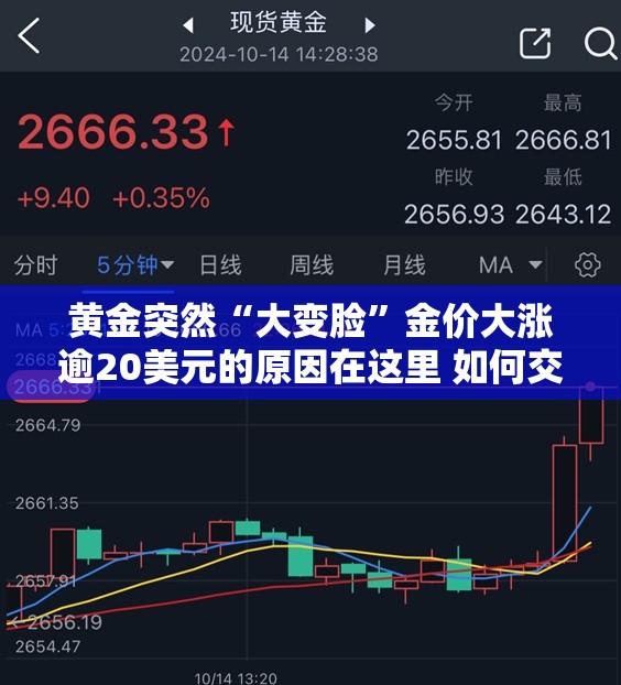 黄金突然“大变脸”金价大涨逾20美元的原因在这里 如何交易黄金？