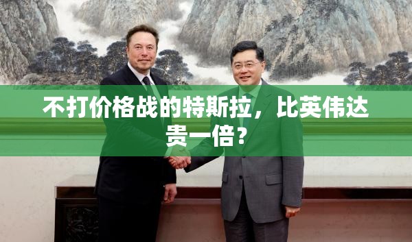 不打价格战的特斯拉，比英伟达贵一倍？