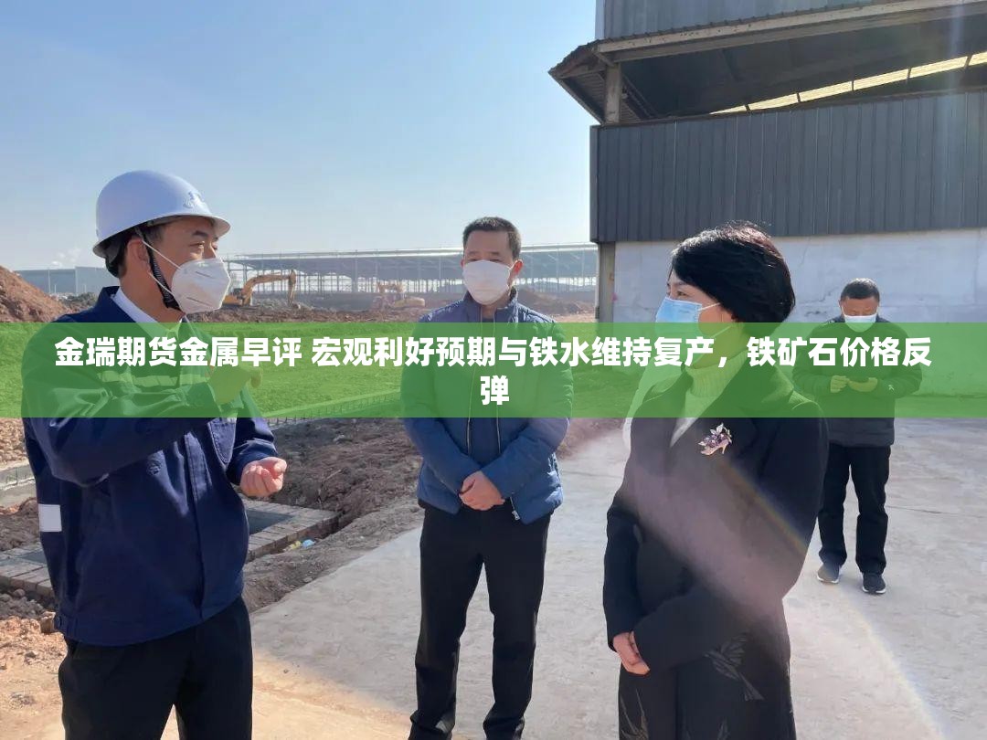 金瑞期货金属早评 宏观利好预期与铁水维持复产，铁矿石价格反弹