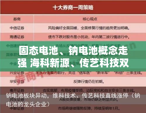 固态电池、钠电池概念走强 海科新源、传艺科技双双涨停