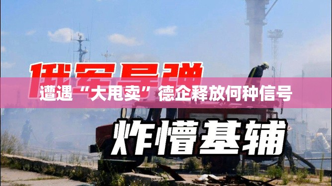 遭遇“大甩卖”德企释放何种信号