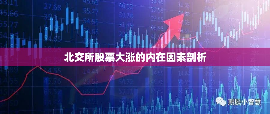 北交所股票大涨的内在因素剖析