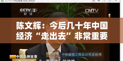 陈文辉：今后几十年中国经济“走出去”非常重要，股权投资基金可发挥重要作用