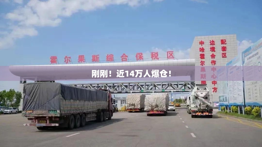 刚刚！近14万人爆仓！