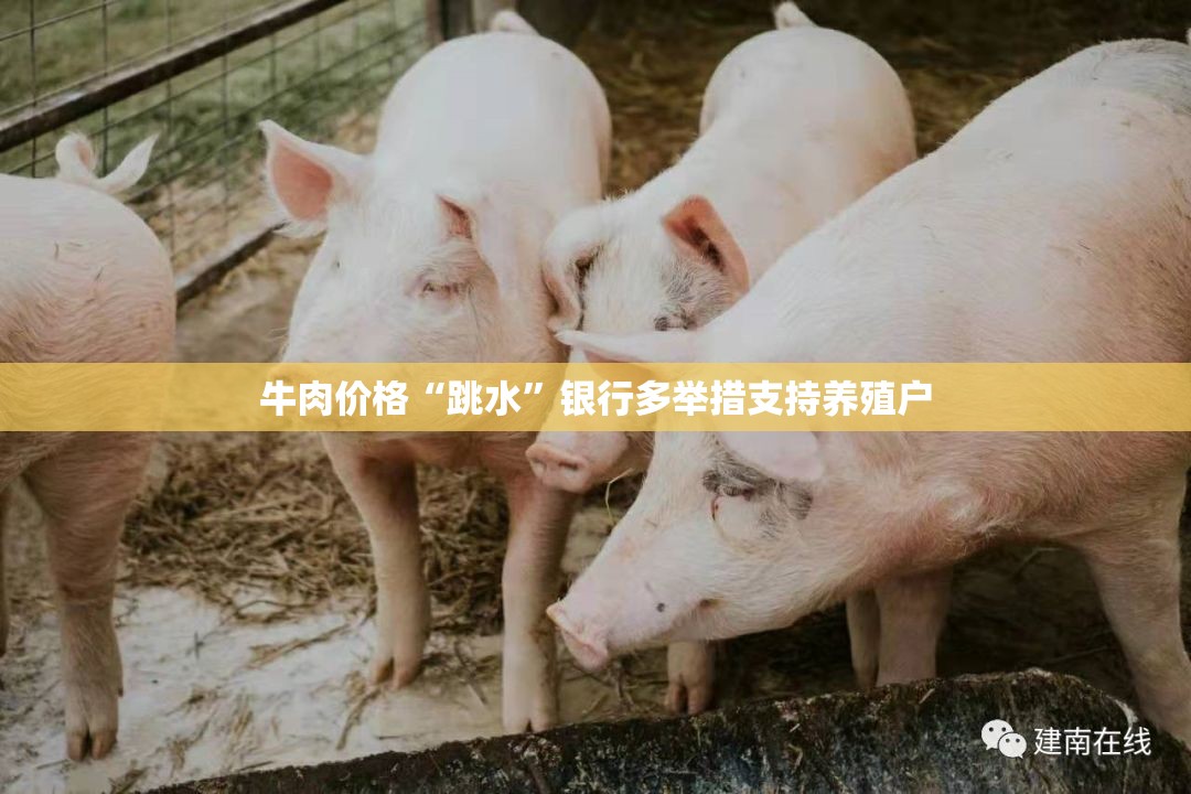 牛肉价格“跳水”银行多举措支持养殖户