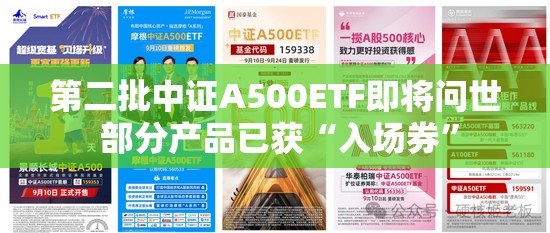 通星海 第3页