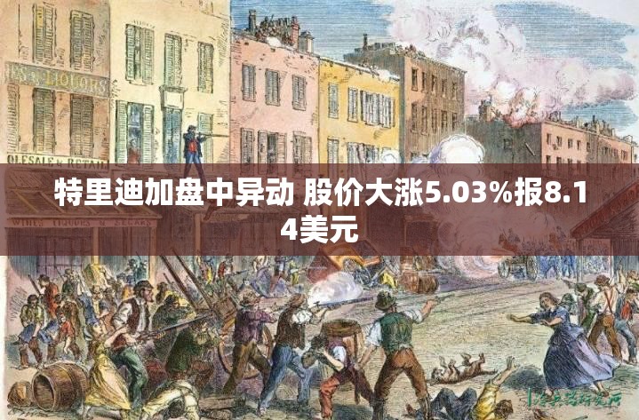 特里迪加盘中异动 股价大涨5.03%报8.14美元