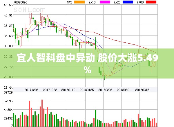 宜人智科盘中异动 股价大涨5.49%