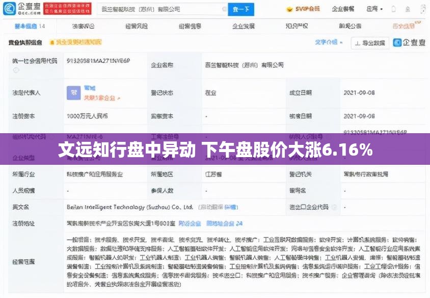 文远知行盘中异动 下午盘股价大涨6.16%