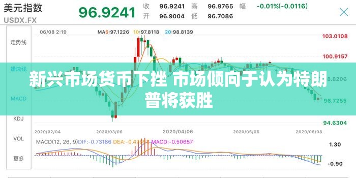 新兴市场货币下挫 市场倾向于认为特朗普将获胜