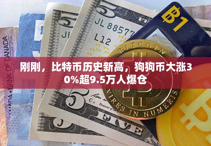 刚刚，比特币历史新高，狗狗币大涨30%超9.5万人爆仓