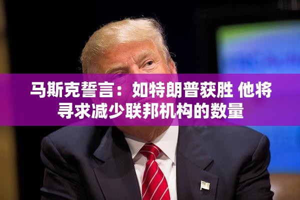 马斯克誓言：如特朗普获胜 他将寻求减少联邦机构的数量