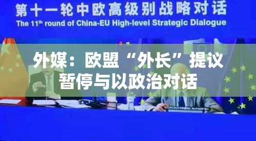 外媒：欧盟“外长”提议暂停与以政治对话
