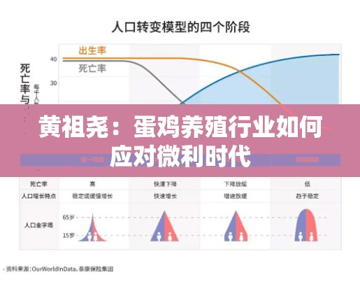 黄祖尧：蛋鸡养殖行业如何应对微利时代