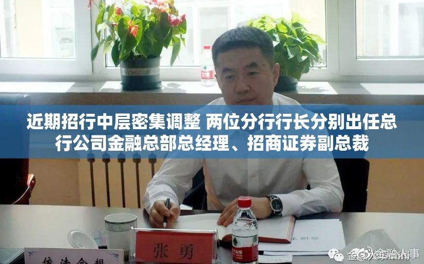 近期招行中层密集调整 两位分行行长分别出任总行公司金融总部总经理、招商证券副总裁