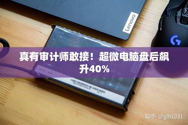 真有审计师敢接！超微电脑盘后飙升40%